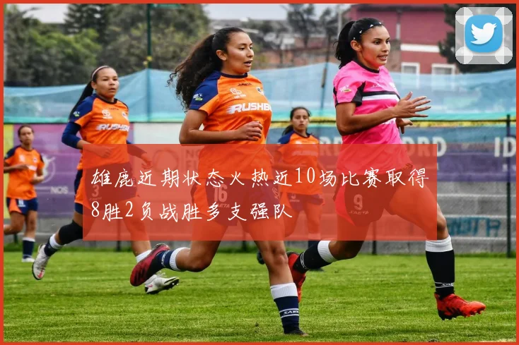 雄鹿近期状态火热近10场比赛取得8胜2负战胜多支强队